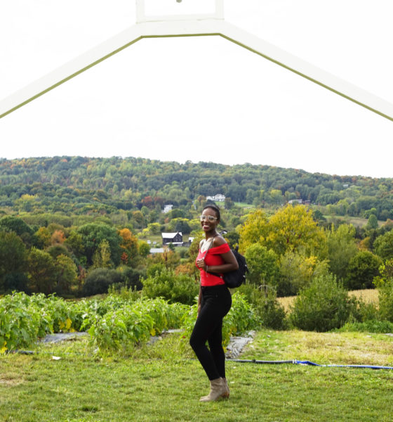 Apple Picking Tradition: October 2017